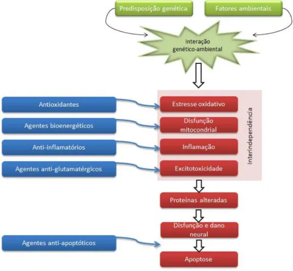 Figura  8  –   Estratégias  de  tratamento  na  DP.  Diagrama  que  descreve  fatores  de  risco  (em  verde),  eventos  moleculares  patogênicos  na  DP  (caixas  em  vermelho)  e  locais  onde  agentes  neuroprotetores  potencialmente poderiam agir (caix