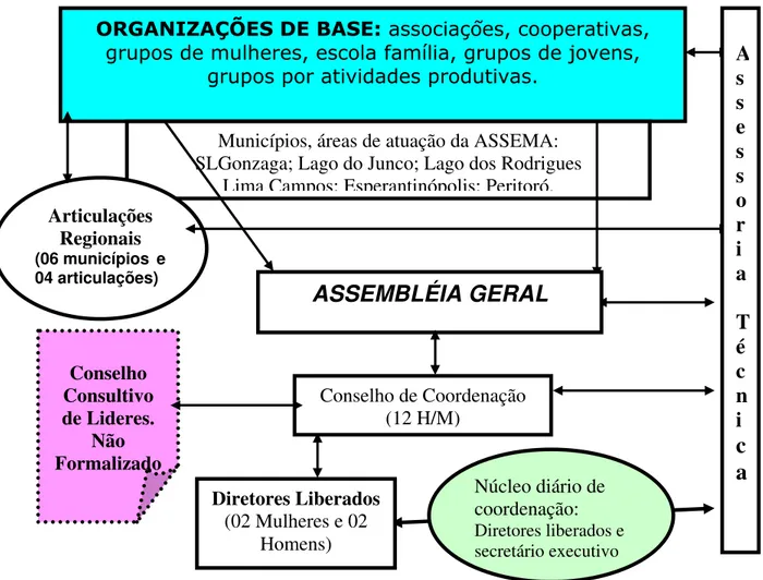 Figura 2 ASSEMA: composição, área de atuação, direção e assessoria. 