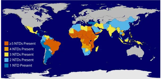 FIGURA 1. Distribuição mundial das doenças infecciosas, especificamente as consideradas tropicais,  segundo a Organização Mundial da Saúde