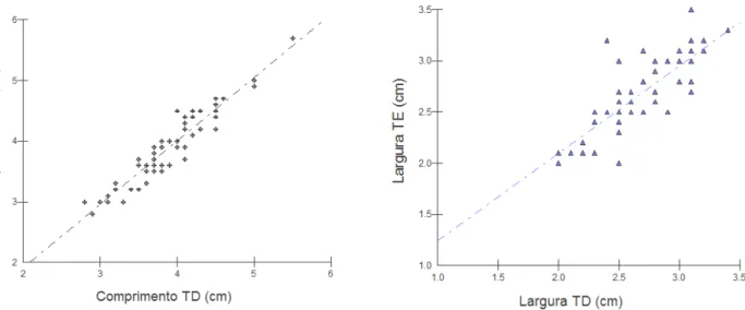 Gráfico  1-  Correlação  entre  comprimentos  e  larguras  dos  testículos  esquerdo  e  direito,  em  animais adultos da espécie Tayassu tajacu mantidos em cativeiro