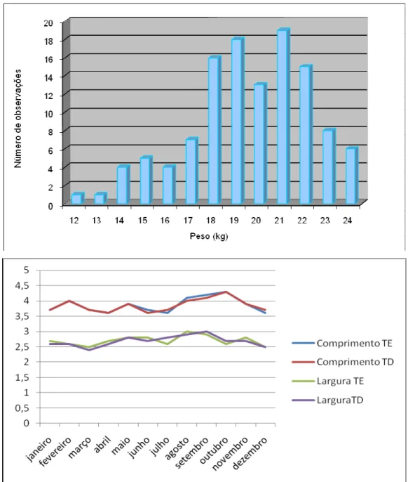 Gráfico 4- Distribuição da freqüência do peso corpóreo observado e variação de comprimento  e largura testiculares de caititus mantidos em cativeiro, ao longo do ano