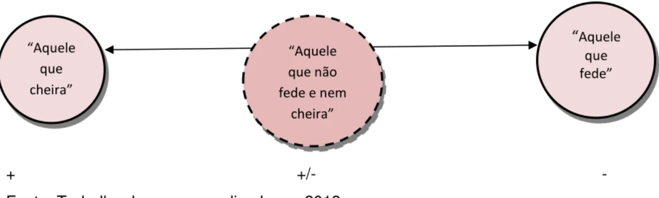 Figura 3: Tipologia das categorias nativas e suas classificações. 