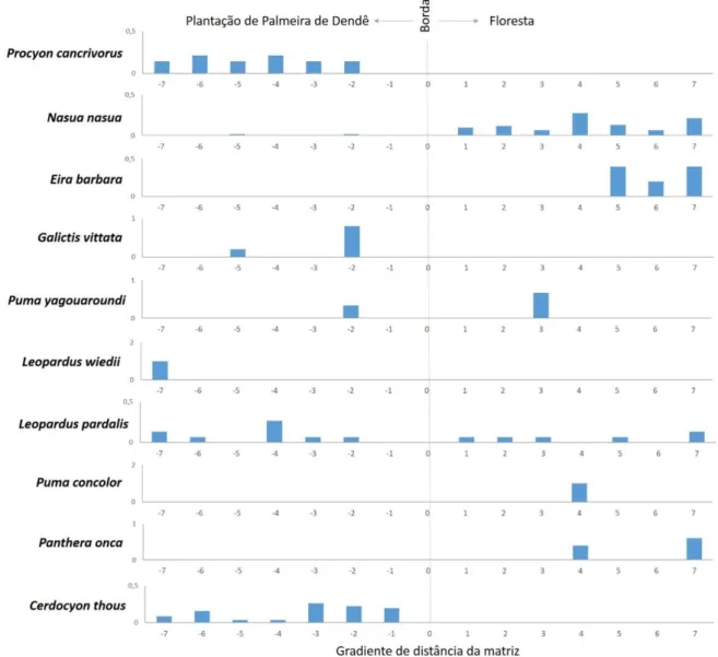 Figura 5. Abundância de carnívoros no gradiente do interior da plantação de palmeira de  dendê para o interior da floreta