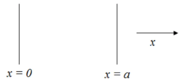 Figura 2.1: Disposi¸c˜ ao geom´etrica das linhas paralelas.