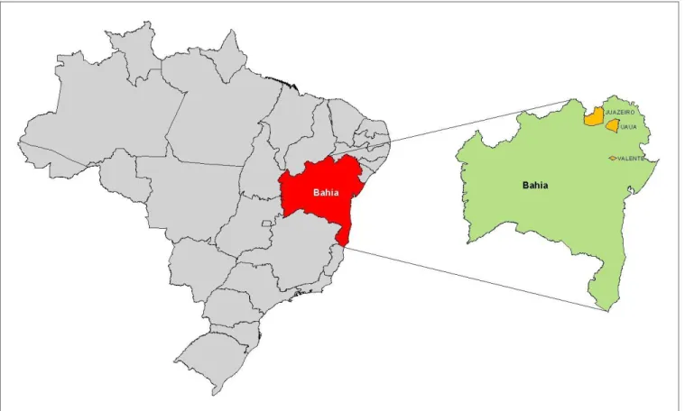 Figura 2 – Mapa de Localização Geográfica dos Municípios Pesquisados  Fonte: IBGE/Material Cartográfico 