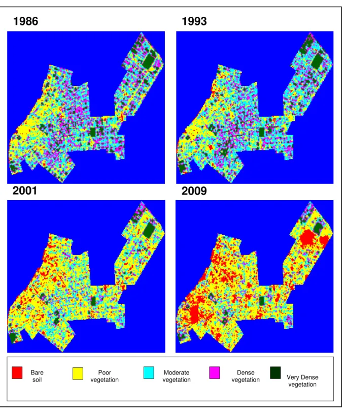 Figure 1. Maps of vegetation coverage in DABEL - 1986, 1993, 2001, 2009. 