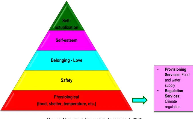 Diagram 4 -  Ecosystem Services and Maslow’s Pyramid.