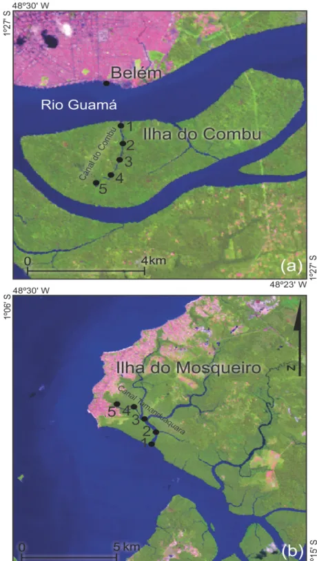 Figura  6:  Região  de  estudo  do  experimento  de  distribuição  de  camarões M.  amazonicum  em  dois  canais  perenes  do  estuário  Guajará  (PA)  -  canais  do  Combu  (a)  localizado  na  ilha  de  mesmo nome e Canal Tamanduaquara (b) na Ilha do Mos