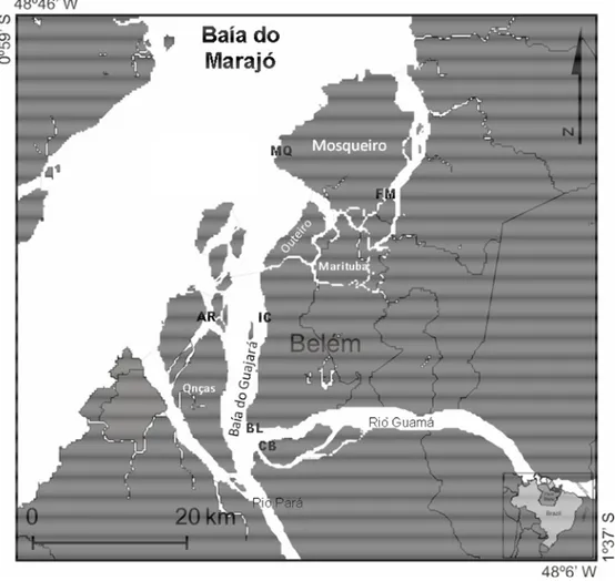 Figura  12  -  Localização  dos  locais  de  coleta  de  camarões  no  período  de  maio/2006  a  agosto/2007 em um estuário do Pará