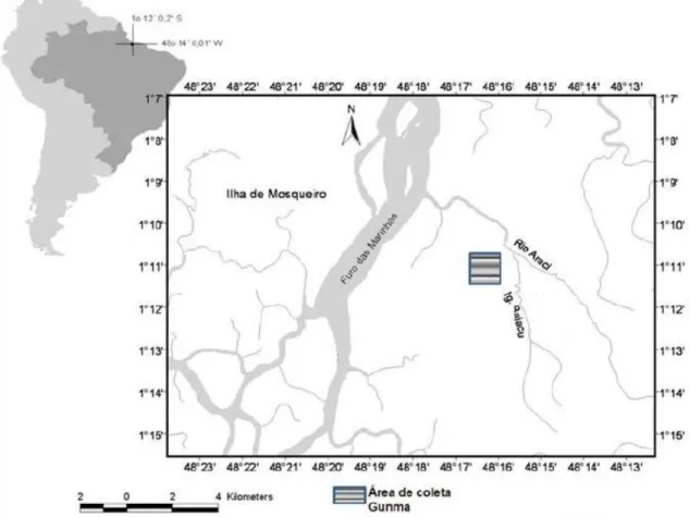 Figura 1: Localização do Parque Ecológico do Gunma no município de Santa Barbará,  Pará (mapa de Heriberto Figueira)
