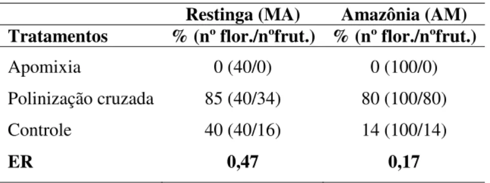 Tabela  2.  Resultados  dos  testes  de  polinização  de  Mauritia  flexuosa,  em  ambiente  de  Restinga (Barreirinhas/MA - este trabalho) e na Amazônia (Manaus/AM - S TORTI  1993)