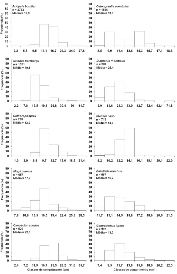 Figura 3 - Distribuição  da frequência relativa  dos  indivíduos  por  classe  de  comprimento  total  (cm)  das espécies mais abundantes