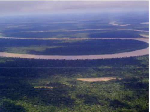 Figura  2:  Foto  aérea  do  Rio  Purus.  Foto:  Thales  Cañete,  trabalho  de  campo  do  Projeto Purus, 2007