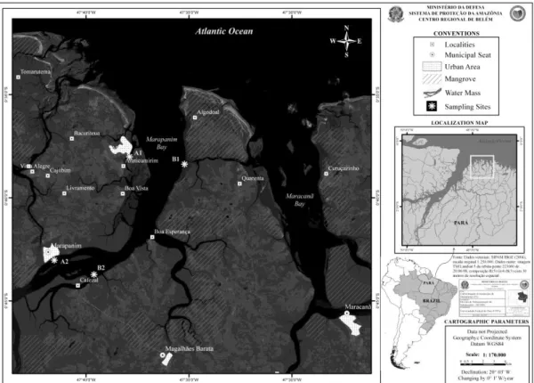 Figura 1. Localização geográfica da área de estudo, com indicação dos quatro locais de  coleta no Rio Marapanim - A1 e A2 (margem oeste), B1 e B2 (margem leste)