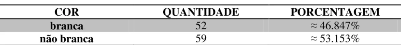 Tabela 9 – Características étnicas dos cabeças de família da Freguesia de Moju. 