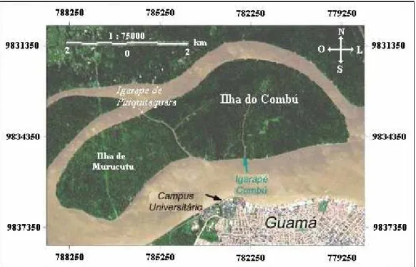 Figura 2 – Aerofoto da Ilha do Combú – Pará (Modificado de CODEM, 2004). 