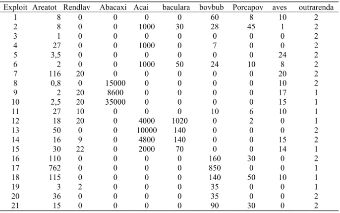 Tabela 03: Dados das propriedades em 2003/2004. 