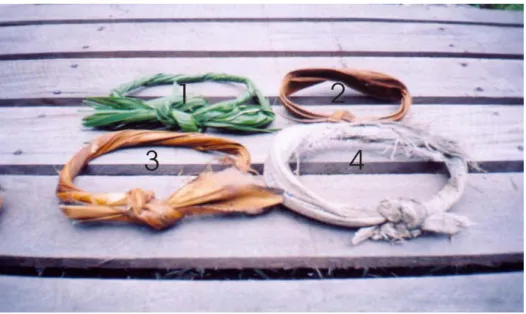 Figura 02: Os tipos de peconha mais usados no médio Pracuúba. Foto: Marinho, 2004. 