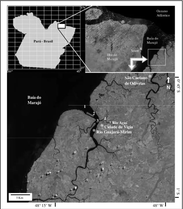 Figura 1. Localização da área de estudo, mostrando os quatro pontos de coleta no estuário  do rio Guajará-mirim (Vigia - PA), (Adaptado de Miranda e Coutinho, 2005)