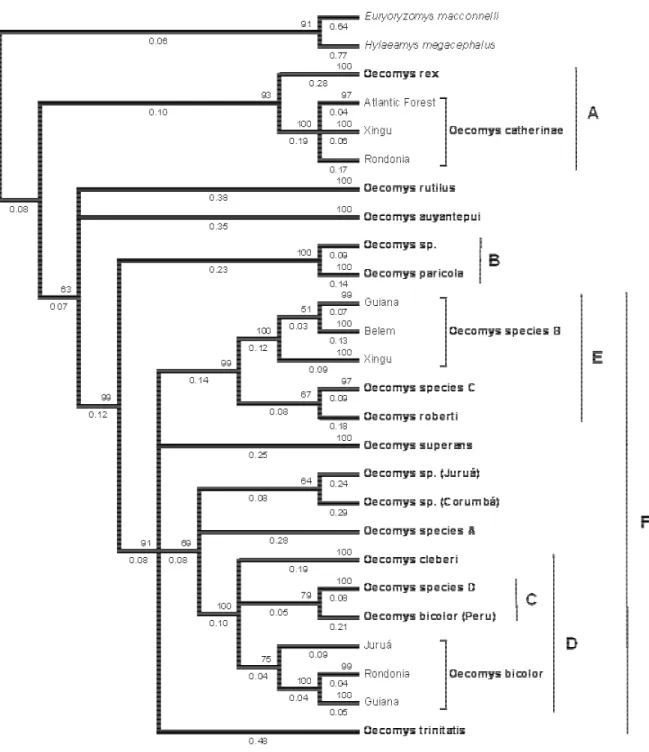 Figure 3 – Bayesian analysis consensus tree from 104 sequences and 653 base pairs of cytochrome-b