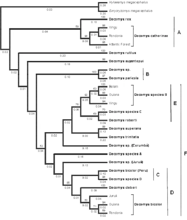 Figure 5 – Consensus of 50% major-rule tree of maximum parsimony analysis from 2,140,100 shorted  trees, each 1059 steps long