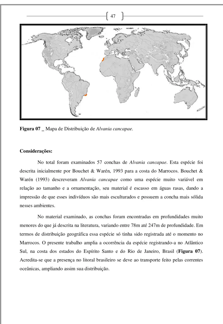 Figura 07 _ Mapa de Distribuição de Alvania cancapae.  