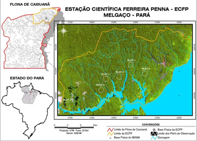 Figura 1 – Localização das áreas de estudo (PLOT) na ECFPn e na FLONA de  Caxiuanã, Pará, Brasil