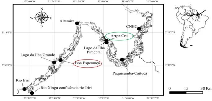 Figura  1  –  Área  de  coleta  de  epilíton  no  médio  rio  Xingu  (Fonte:  Estupiñan  &amp; 
