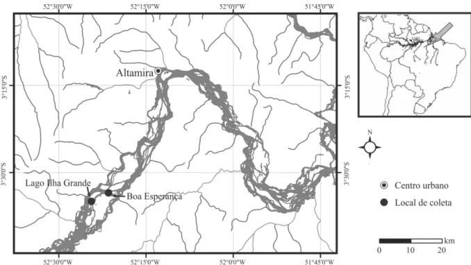 Figura 1. Mapa do rio Xingu localizando os locais de coleta, de agosto/06 a julho/07.  