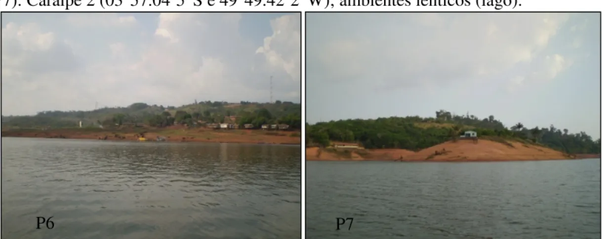 Figura  2-  Vista  do  Ponto  6  (P6):  Caraipé  1  (03°49.8’4”S  e  49°43.15’9”W)  e  Ponto  7  (P7): Caraipé 2 (03°57.04’5”S e 49°49.42’2”W); ambientes lênticos (lago)