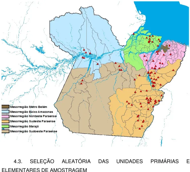 Figura  6.  Distribuição  das  propriedades  selecionadas  e  que  participaram  do  estudo por mesorregiões no Estado do Pará 