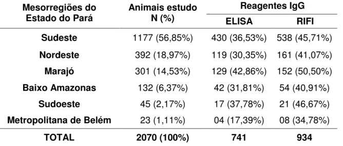 Tabela 2 - Distribuição das amostras e reagentes positivos ao teste de ELISA e  RIFI para anti – T
