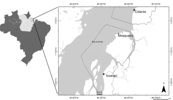 Figura 1. Mapa da área de estudo localizado no litoral da costa do Pará em praias de  substrato consolidado em Icoaraci, Mosqueiro e Colares, Estado do Pará, Brasil