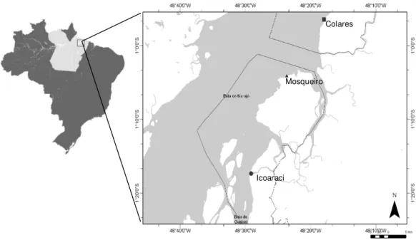 Figura 1:  Mapa da área de estudo localizado no litoral da costa do Pará em praias de  substrato consolidado em Icoaraci, Mosqueiro e Colares, Estado do Pará, Brasil