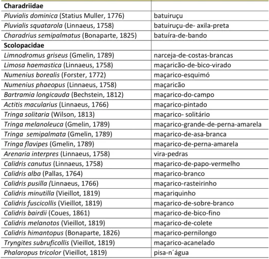 Tabela  2  -  Lista  das  espécies  de  aves  das  famílias  Charadriidae  e  Scolopacidae  néarticas  com  ocorrência no Brasil, de acordo ao CBRO (2009) e AOU (2009)