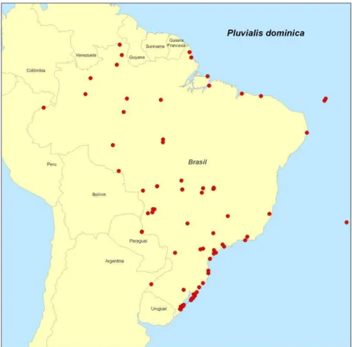 Figura 3 - Distribuição geográfica de Pluvialis dominica entre as latitudes 5 o N a 35 o S, baseados na  literatura, coleções de museus, dados de anilhamento e censos