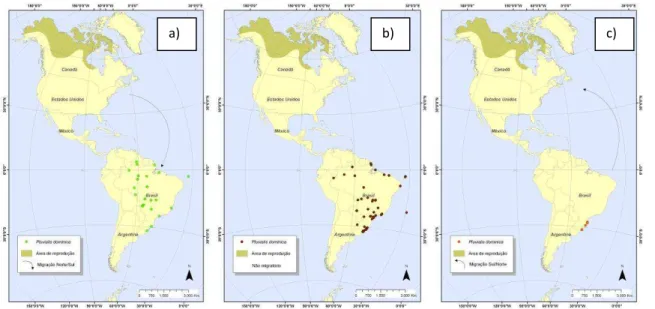 Figura 4 - Mapas de distribuição temporal de Pluvialis dominica conforme os períodos: a) migração  norte-sul, b) migração sul-norte e c) não migratório