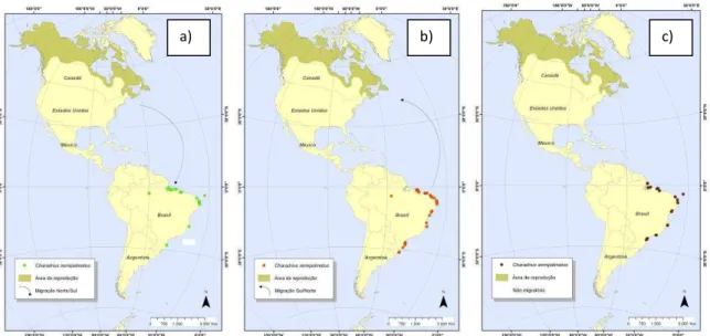 Figura  9  -  Mapas  de  distribuição  do  batuíra-de-bando  (Charadrius  semipalmatus)  conforme  os  períodos: a) migração norte-sul, b) migração sul-norte e c) não migratório