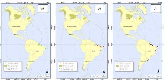 Figura  11  -  Mapas  de  distribuição  de  Limnodromus  griseus  conforme  os  períodos:  a)  migração  norte-sul, b) migração sul-norte e c) não migratório