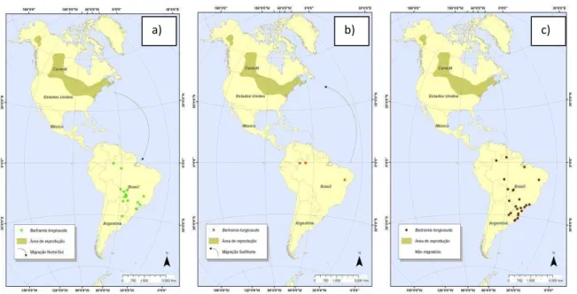 Figura  19  -  Mapas  de  distribuição  de  Bartramia  longicauda  conforme  os  períodos:  a)  migração  norte-sul, b) migração sul-norte e c) não migratório