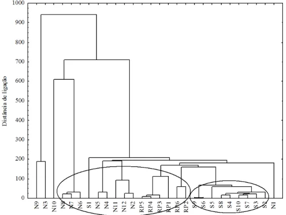 Figura 7. Dendrograma da distribuição de As, Al, Mn e Pb nos canais Norte e Sul e rio Pará  As  principais  similaridades  observadas  confirmam  os  resultados  obtidos  na  análise  de  componentes principais, no que diz respeito à composição dos agrupam