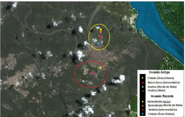 Figura 6 – Foto por satélite mostrando as áreas de coleta de flebotomíneos no  município de Barcarena (PA)