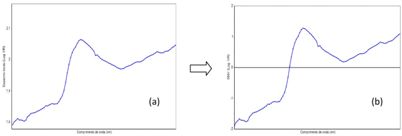 Figura  11  –  Gráfico  do  SNV  (b)  sobre  o  espectro  bruto  (a)  utilizando  filtro  de  Savitzky-Golay 