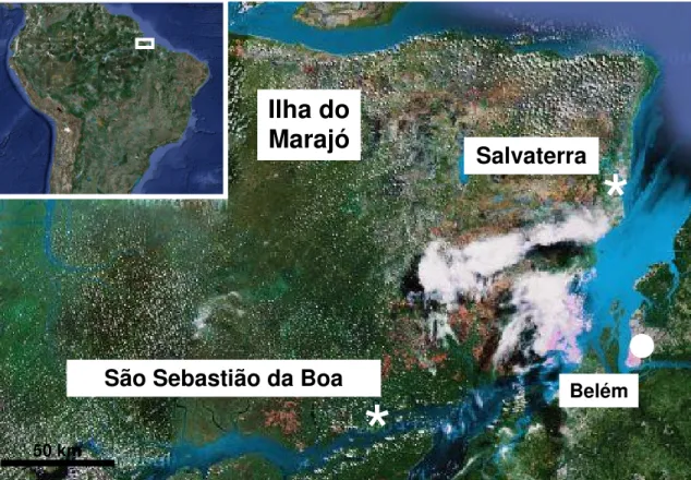 Figura  4:  Mapa  de  localização  geográfica  dos  municípios  estudados  na  Ilha  do  Marajó
