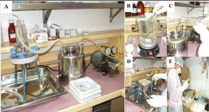 Figura  8.  Processo  de  concentração  aplicado  nas  amostras  após  a  coleta.  Conexão  dos  equipamentos, da direita para a esquerda bomba à vácuo, vasilhame de pressão e filtro (A); 