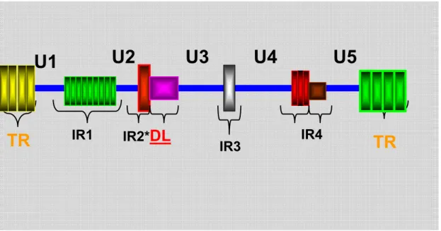 Figura 2 – Representação da estrutura do genoma do EBV. Cinco domínios compõem a  seqüência única (U1-U5) com seqüências diretas de repetições nas extremidades (TR) e  sequências de repetições internas (IR1- IR4)