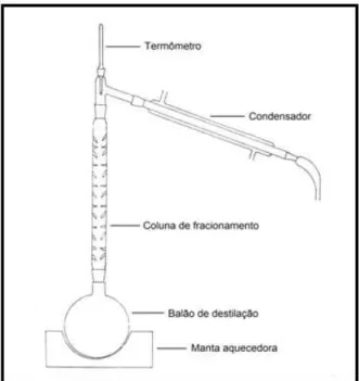 Figura 6 – Aparelho de destilação fracionada em escala de laboratório. 