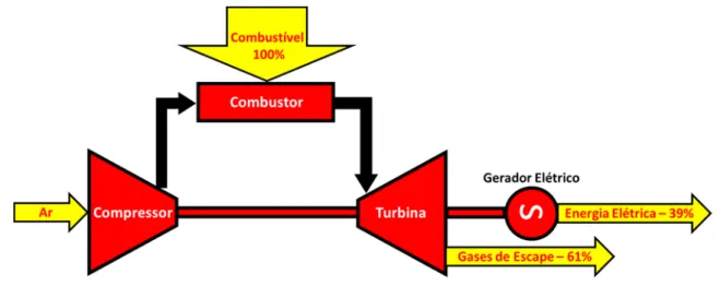Figura 07: Diagrama esquemático do ciclo aberto  Fonte: Esteves e Matz, 2013. 