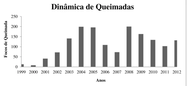 Gráfico 2: Dinâmica de queimadas do assentamento Paragonorte Fonte: INPE/PRODES (1999-2012) 050100150200250 1999 2000 2001 2002 2003 2004 2005 2006 2007 2008 2009 2010 2011 2012Focos de QueimadaAnos Dinâmica de Queimadas 