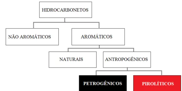 Figura 1 - Divisão dos hidrocarbonetos considerados nos estudos biogeoquímicos em  sedimentos segundo sua origem (Marty  et al